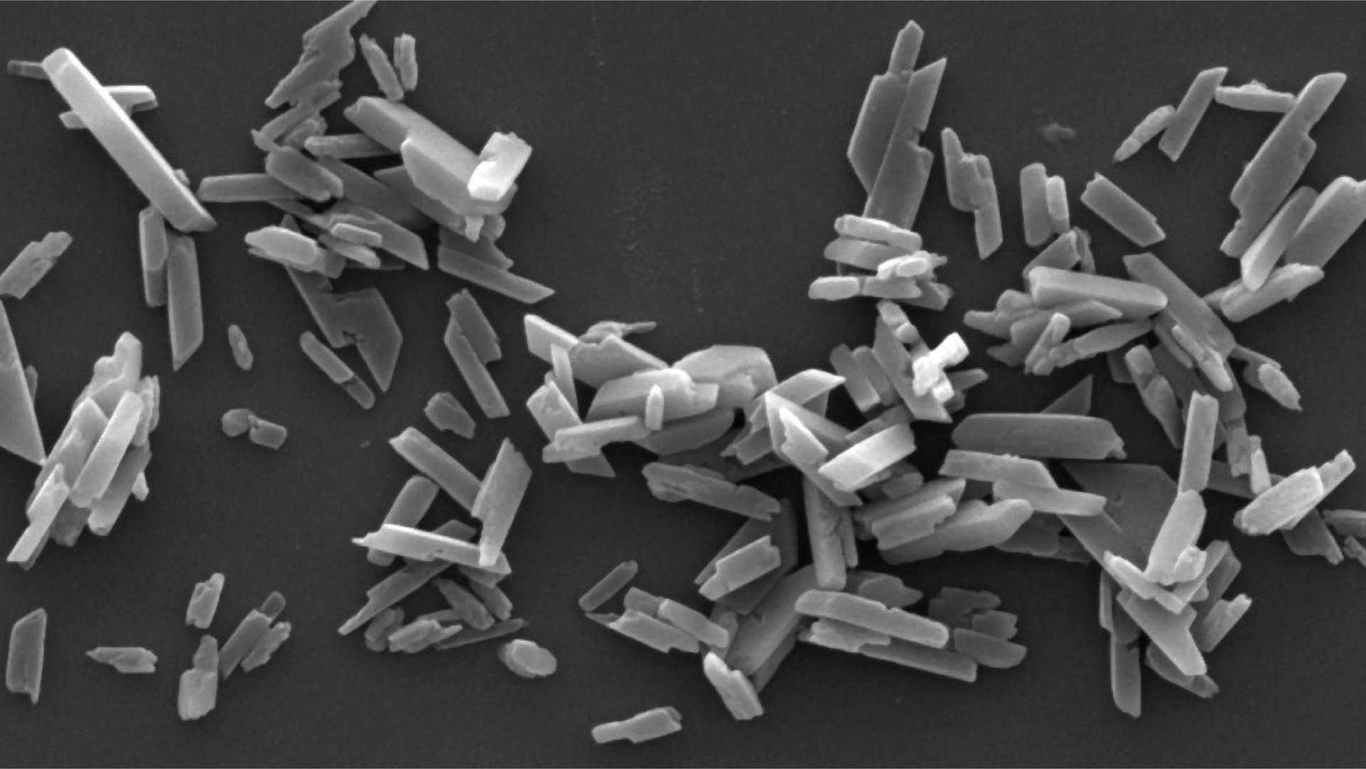 Isolated hemozoin crystals formed by Plasmodium falciparum parasites