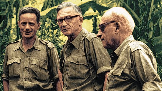 Three people in front of a jungle background.