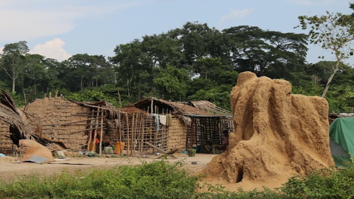 Das Bild zeigt rechts einen Termitenhaufen. Im Hintergrund sind mehrere Hüttem aus Stroh und Holz zu sehen. Dahinter große Bäume.