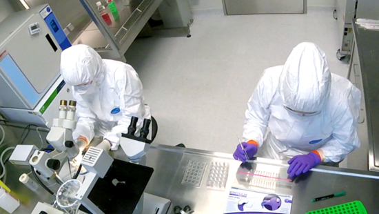 View from above of the researchers working with laboratory utensils in full protective suits with the so-called glass box in the high-security laboratory level 4
