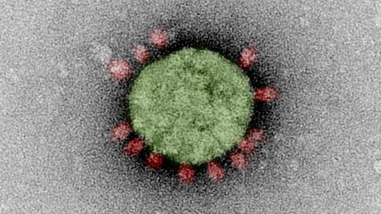 You can see an image of a coronavirus. The background is a pixelated gray. In the center you can see a green round circle, at the edge of which small red dots are distributed over the surface at irregular intervals.