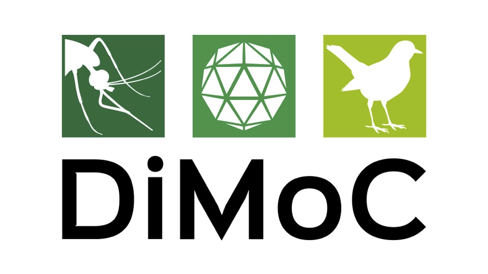 Logo DiMoc