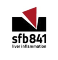 Logo sfb841