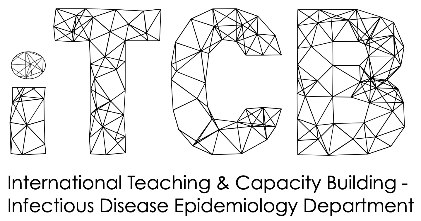 Logo des iTCB: Die Buchstaben iTCB sind mit schwarzen Strichen in den Buchstaben gezeichnet. Unter dem Logo steht ausgeschrieben International Teaching and Capacity Building.