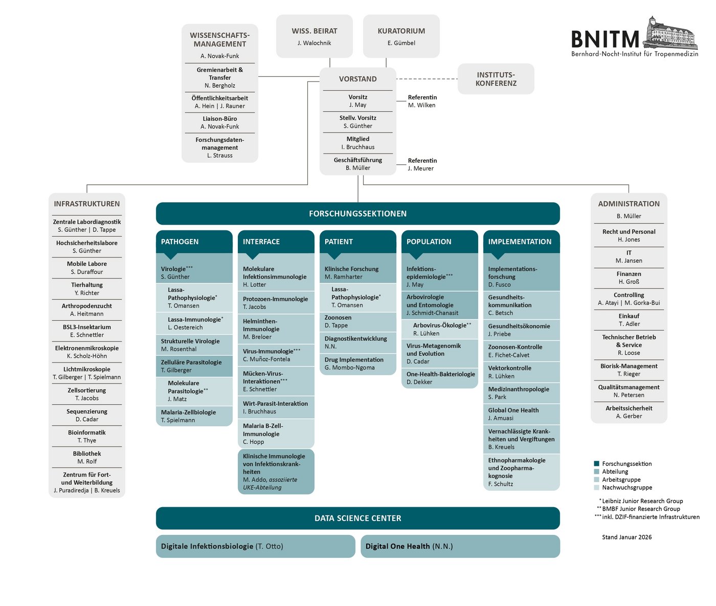 Grafik eines Organigramms
