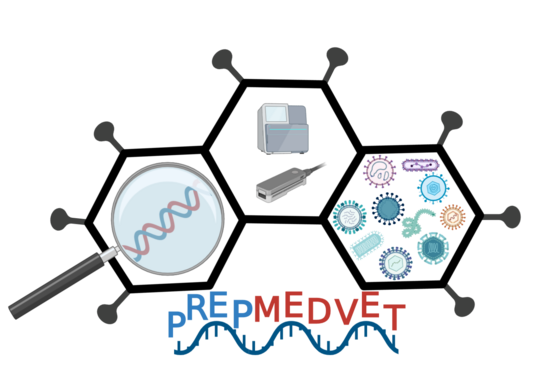 PrepMedVet Logo: zu sehen sind drei aneinandergereihte Sechsecke, die an den äußeren Ecken noch kleine Spiels haben. Im Inneren der Sechsecke sind DNA, unterschiedliche Bakterien, Viren etc., und Geräte zu sehen.