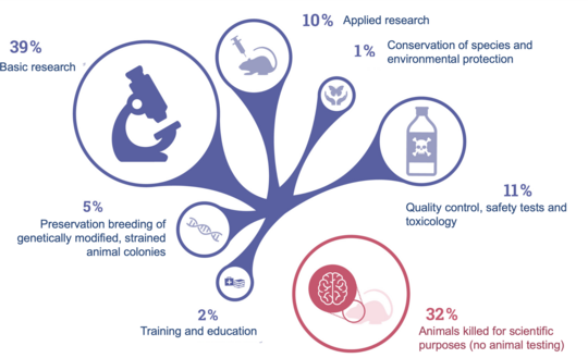 Necessity of animal experiments The graphic illustrates the necessity of animal testing using the image of a purple tree. There are five branches in total: starting at the bottom left with a blue schematic image of a virus, accompanied by the caption "Research into diseases and improvement of treatments." Above this is the safety testing of active substances, depicted by two pills and a test tube. At the top center is the protection of humans and animals, represented by the symbol of two opening hands from which a butterfly is taking flight. To the right, the study of bodily functions is indicated by an image of a torso skeleton. At the bottom right, the fifth point represents education and training, illustrated by books and a doctor's bag.