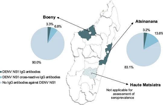 Die Abbildung zeigt eine Karte von Madagaskar, in der die Regionen des Landes dargestellt sind. Zwei Regionen sind dunkelgrün hervorgehoben. Hier wurden Daten erhoben. Für diese zwei Regionen sind zudem Tortendiagramme dargestellt, die die prozentual anzeigen, wie viele Perosnen mit dem Dengue-Virus Kontakt hatten.