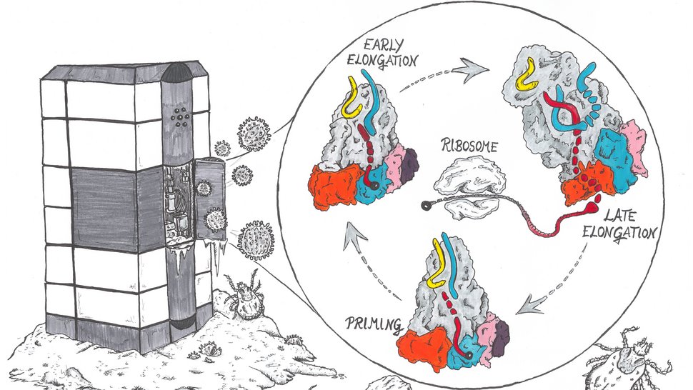 Grafische Zusammenfassung Grafische Zusammenfassung