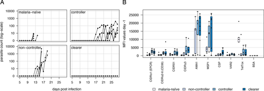 Das Bild zeigt eine Grafik zur Malaria-Infektionen der Studie