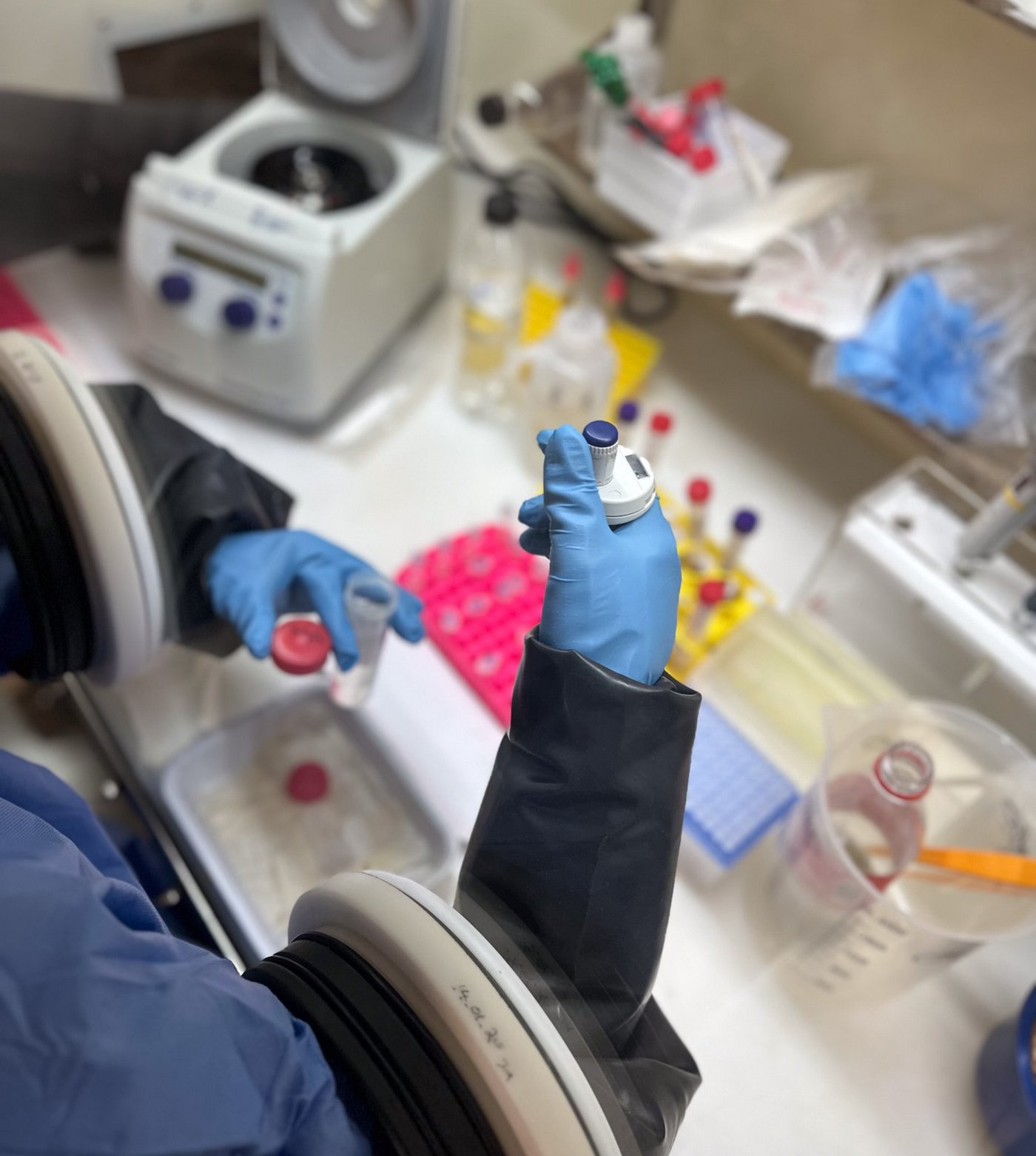 Working with the glove box The photo shows two hands in blue gloves working with the glove box.