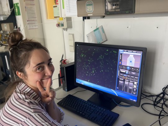 Pilar Tauler examining brain endothelial cells Scientists in the lab