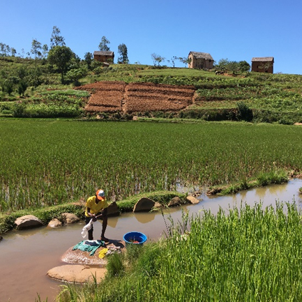 Study site in rural Madagascar