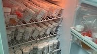 Ein geöffneter Kühlschrank, der mit kleinen Plastikbehältern, die mit einem weißen Deckel verschlossen sind, gefüllt ist.