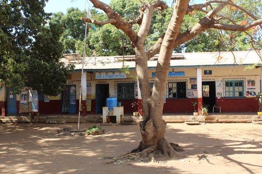 Healthcare facility in Madagascar The photograph shows a light-coloured building with green trees in the background. In the foreground, a large, brown, branching tree trunk can be seen.
