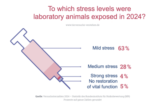 Stress levels on experimental animals 2024 The illustration shows the levels of stress to which animals were exposed in 2024: 66% mild, 25% moderate, 4% severe, and 5% death or general anesthesia.