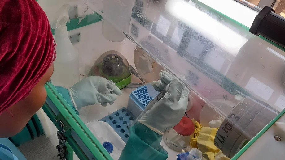 Arbeit an der Glove box Blick über die Schulter einer Wissenschaftlerin, die gerade an einer Glove box pipettiert