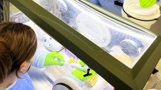 Two trainees are seen in personal protective equipment, dressed in a blue smock and green gloves. One trainee is working in the negative pressure glovebox and inactivating suspicious samples. He holds a pipette and pipettes the contents of a microcentrifuge tube. The other person (also called a buddy) observes the entire process to ensure that laboratory procedures for handling suspected viral haemorrhagic fever samples are followed. As this was a training session as part of a master course, the samples to be processed were not infectious.