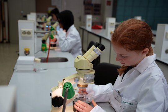 Auf dem Foto ist eine Schülerin in einem weißen Kittel vor einem Mikroskop zu sehen. Im Hintergrund mikroskopieren weitere Schüler.