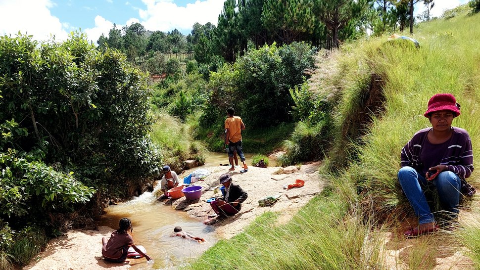 Schistosomiasis is transmitted by freshwater snails.