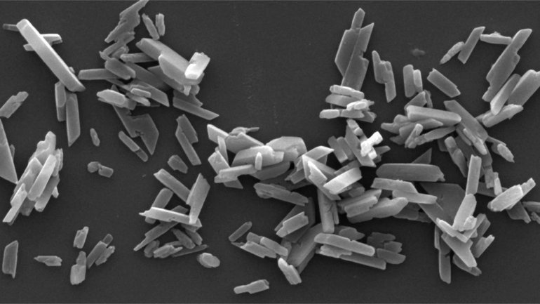 Isolated hemozoin crystals formed by Plasmodium falciparum parasites