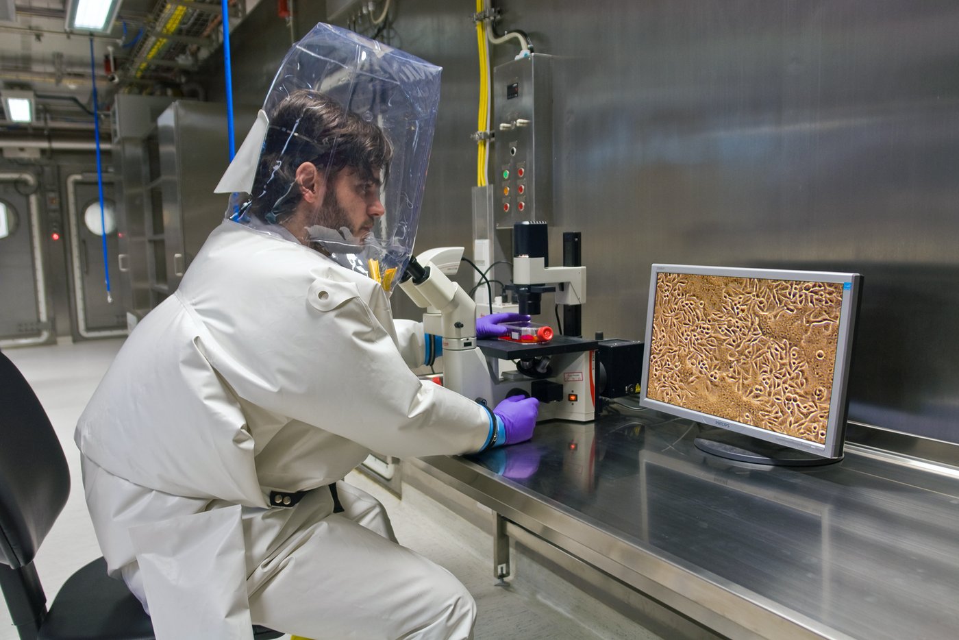 A person in a high security suit carries out research work in the high-biosafety laboratory BSL-4