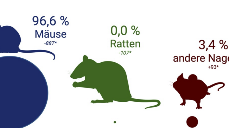 Versuchstiere 2023 Illustration der Versuchstiergruppen am BNITM im Jahr 2023: 96,6 % Mäuse, 0,0 % Ratten, 3,4 % andere Nagetiere.