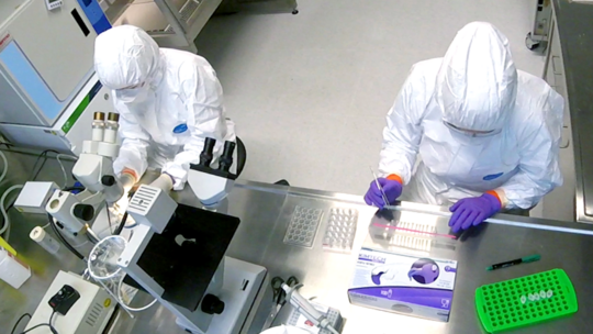 View from above of researchers working with laboratory equipment in the BSL3 Insectarium. View from above of researchers working with laboratory utensils wearing protective clothing in the Level 3 safety laboratory