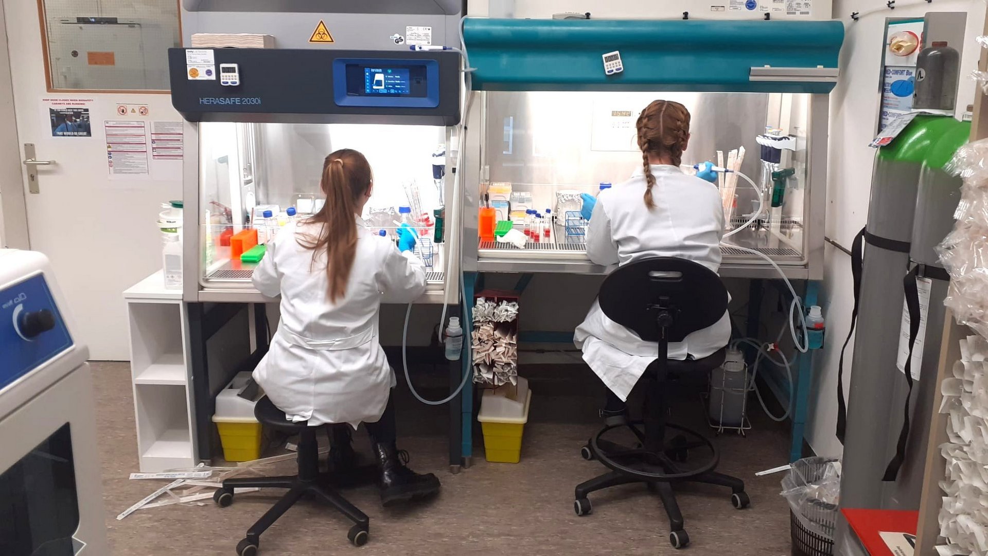 Two young women sitting at a biosafety cabinet, backs turned to camera.