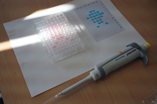 Auf dem Foto ist im Vordergrund eine Pipette zu sehen, die auf einem Tisch liegt. Dahinter ist auf Papier ein Pipettierschema augedruckt, darauf steht eine 96-well-Platte, in der das Fischmuster mit einer roten Flüssigkeit hineinpipettiert ist.