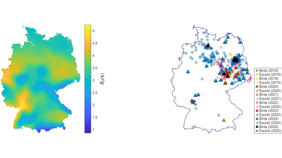 Die Basisreproduktionszahl im Vergleich zu den beobachteten Daten Zwei Deutschland-Karten, auf denen die Basisreproduktionszahl im Vergleich zu den beobachteten Daten dargestellt ist