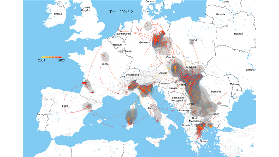 Ausbreitung WNV in Europa Es ist eine Landkarte von Europa zu sehen. Eingezeichnet sind rote Flächen, die die Gebiete, in den das WNV vorkommt, zeigen. Mit schwarzen Linien sind die Ausbreitungen des Virus dargestellt.