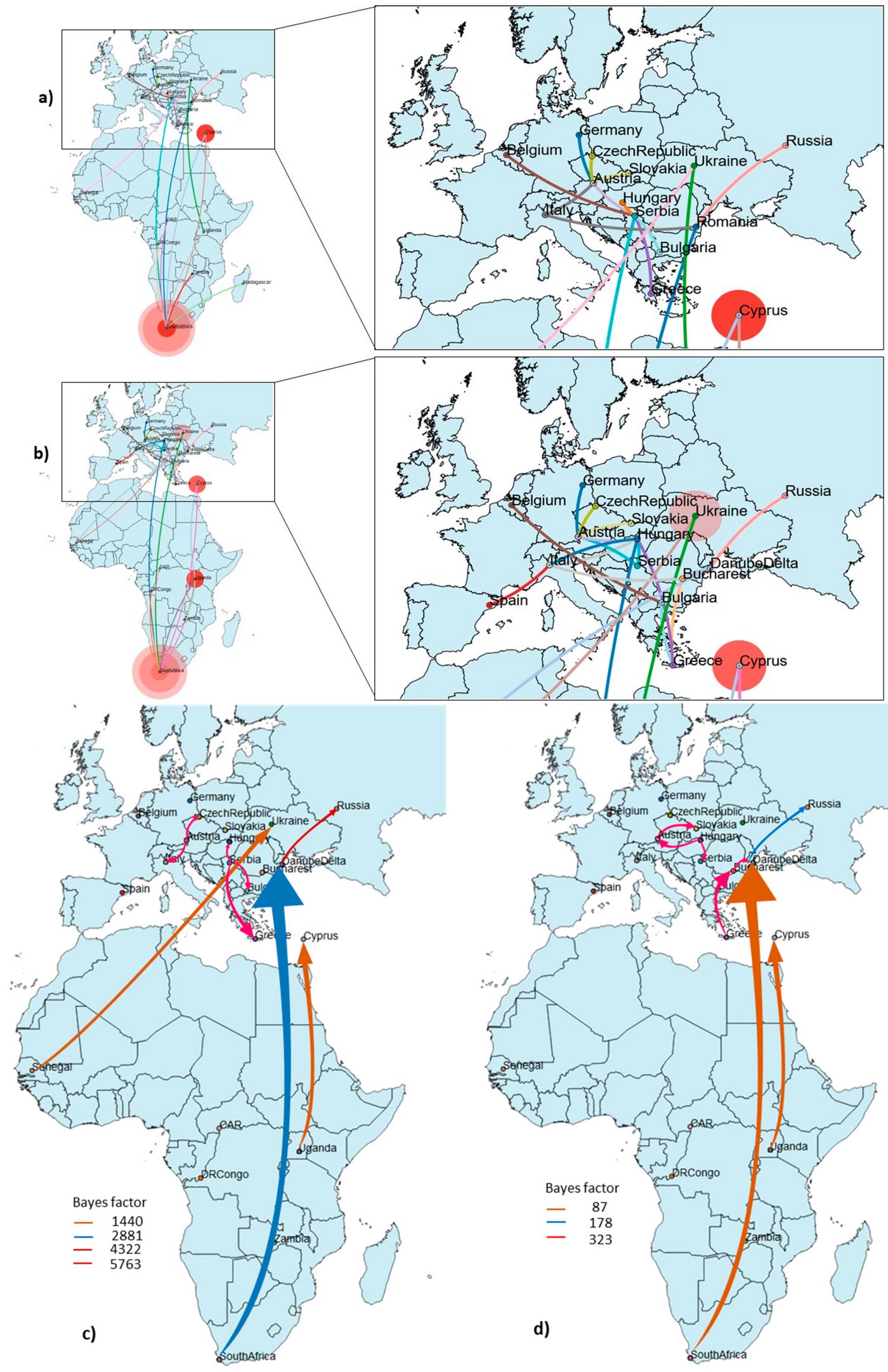 Zu sehen sind unterschiedliche Ausschnitte und Übersichten von Afrika und Europa. Gezeigt sind die Auswirkung unterschiedlicher Virusausbrüche global.