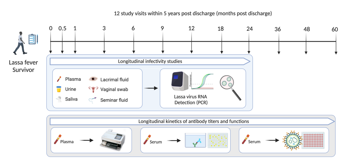 Sampling time line of the follow-up study. Sampling time line of the follow-up study on Lassa fever survivors. Time points, tested body fluids and laboratory methods are displayed as well.