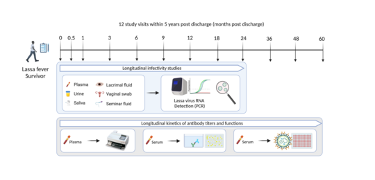Sampling time line of the follow-up study. Sampling time line of the follow-up study on Lassa fever survivors. Time points, tested body fluids and laboratory methods are displayed as well.