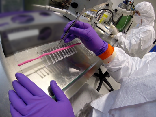 Speichelassay Das Bild zeigt Wissenschaftler bei der Laborarbeit.