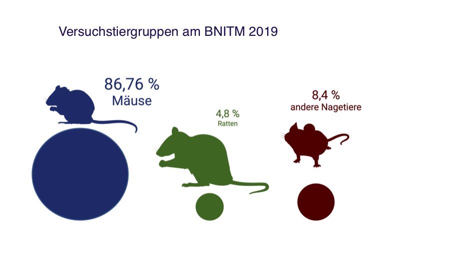 Illustration der Versuchstiergruppen am BNITM im Jahr 2019: 86,7 % Mäuse, 4,8 % Ratten, 8,4 % andere Nagetiere.