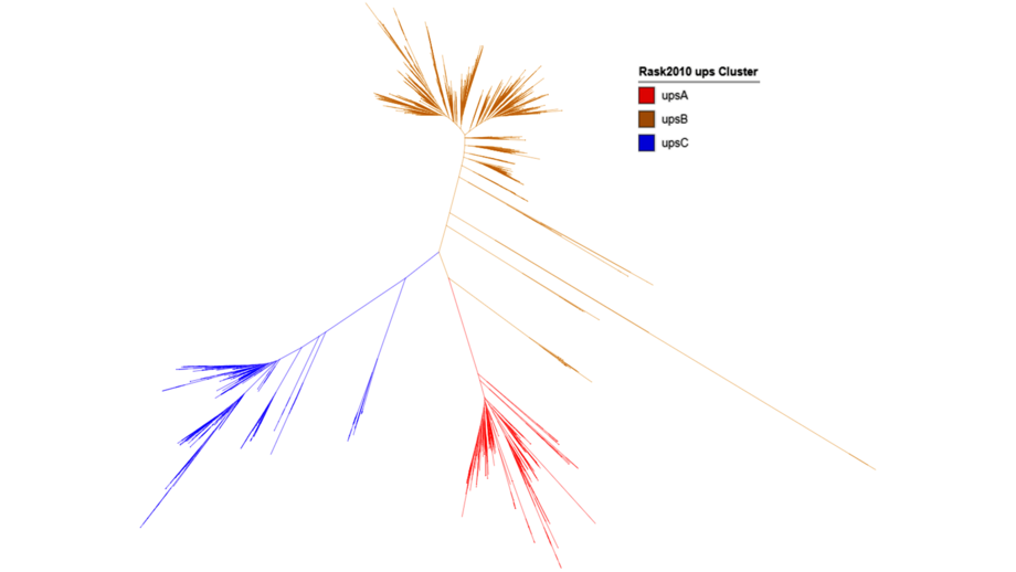 Die Abbildung zeigt in rot, beige und blau drei Linien, die sich nach auußen je weiter verzweigen.
