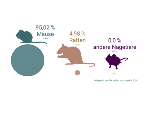 Illustration der Versuchstiergruppen am BNITM: 91,8 % Mäuse, 4,3 % Ratten, 3,9 % andere Nagetiere.