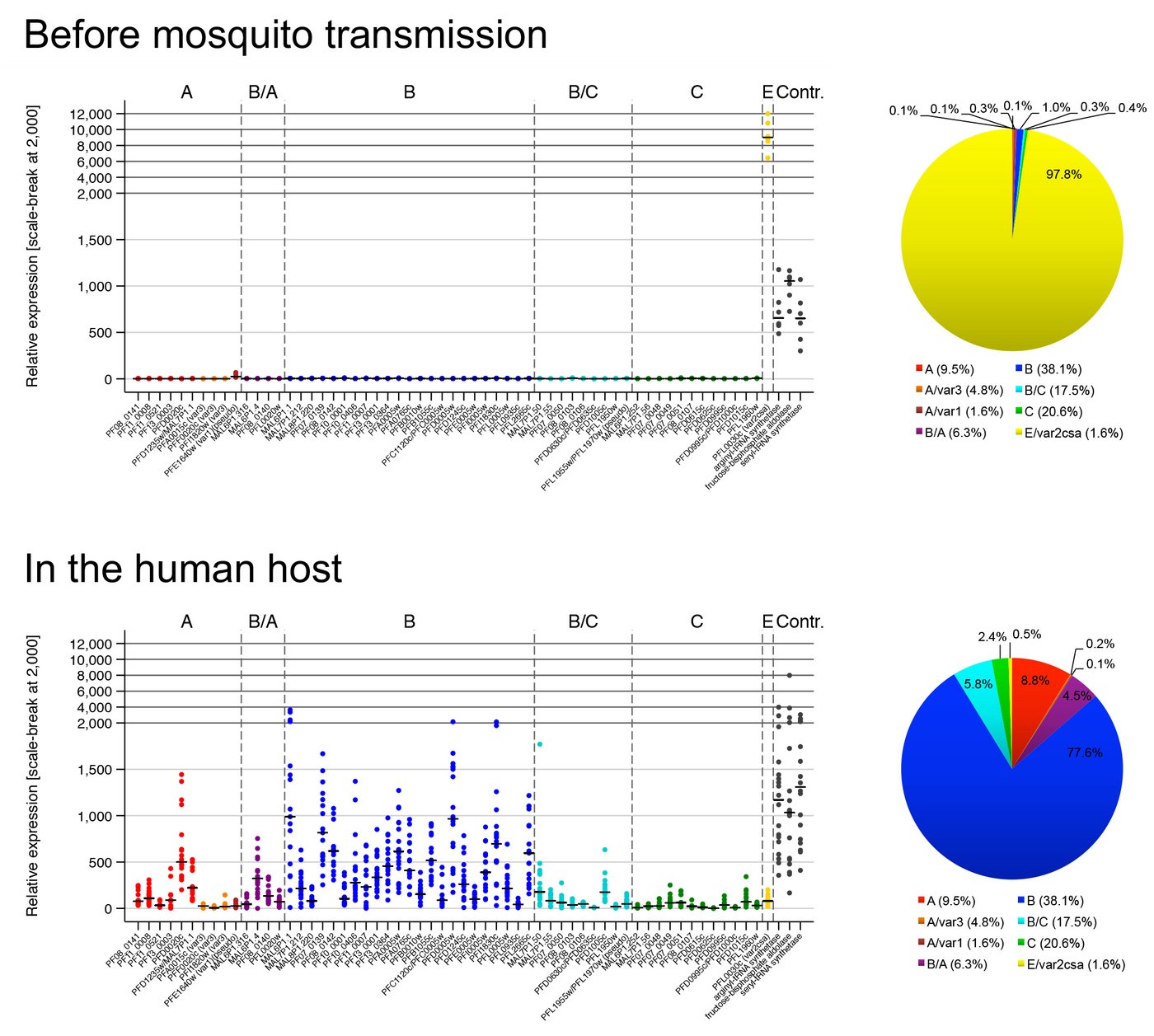 Punkt- und Tortendiagramme zeigen die var-Genexpression in Parasiten vor der Mückenpassage und in den infizierten Probanden.