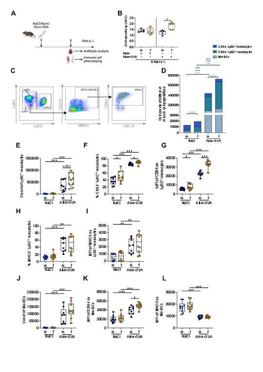 Grafik: Die intramuskuläre Immunisierung induziert eine geschlechtsabhängige CD64-Expression auf monozytären Zellen.