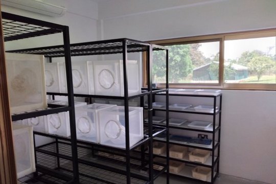 Das Bild zeigt einen Raum mit Regalen, in denen weiße Insektenkäfige stehen.