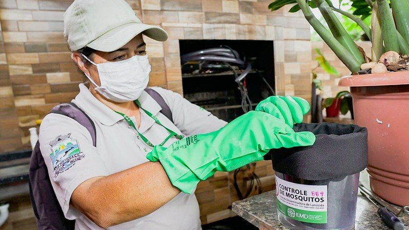 Ein Mann mit Mundschutz und grünen Handschuhen kontrolliert eine Moskitofalle: Hierzu prüft er eine schwarze Tüte, die in einem Eimer steckt.