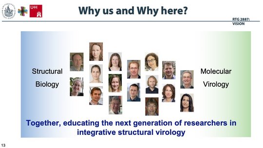 Das Bild zeigt Struktur und Mitglieder der Graduate School "VISION": Es besteht aus einem linken in Blau gehaltenen Teil mit der Überschrift "Structural Biology" und einem in Grün gehaltenen rechten Teil mit der Überschrift "Molecular Virology". In der Mitte sind Vertreter:innen der beteiligten Institutionen abgebildet.