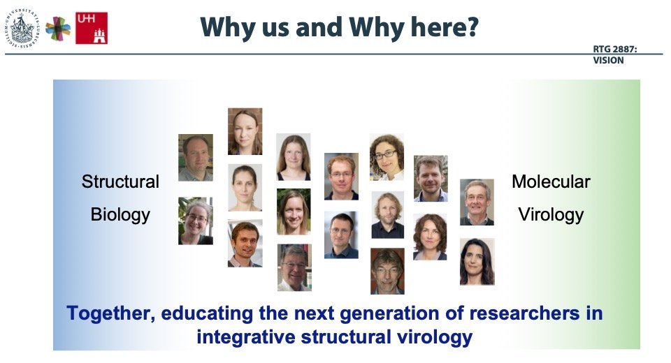 Das Bild zeigt Struktur und Mitglieder der Graduate School "VISION": Es besteht aus einem linken in Blau gehaltenen Teil mit der Überschrift "Structural Biology" und einem in Grün gehaltenen rechten Teil mit der Überschrift "Molecular Virology". In der Mitte sind Vertreter:innen der beteiligten Institutionen abgebildet.