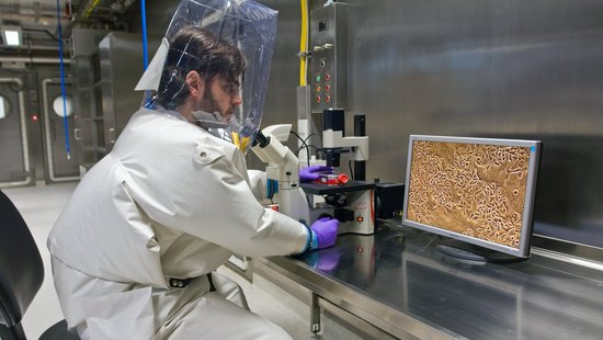 A researcher in a high-security laboratory in a full protective suit. You can see the suit under air pressure while he looks at the pathogens on a screen.