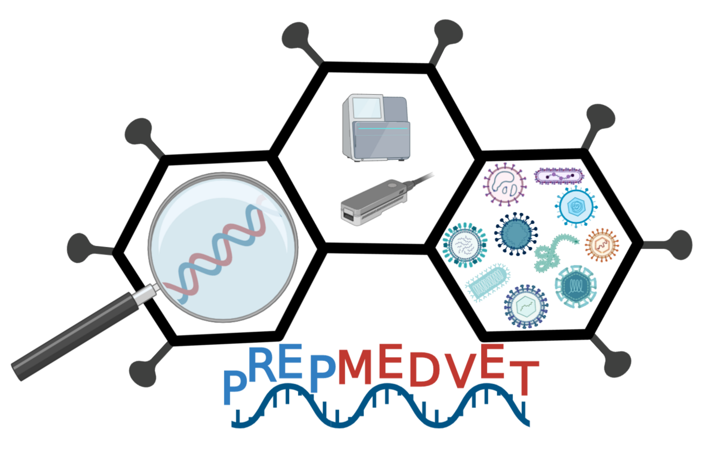 PrepMedVet Logo: zu sehen sind drei aneinandergereihte Sechsecke, die an den äußeren Ecken noch kleine Spiels haben. Im Inneren der Sechsecke sind DNA, unterschiedliche Bakterien, Viren etc., und Geräte zu sehen.