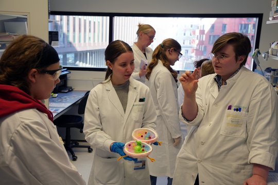 Auf dem Foto sind im Vordergrund eine Forscherin und zwei Schüler:innen in weißen Kitteln zu sehen. Die Schülerin in der Mitte hält ein Zellenmodell in der Hand und die Forscherin erklärt. Im HIintergrund sind weitere Forschende und Schüler:innen zu sehen.