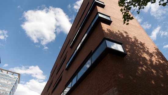 A large, modern brick building can be seen from below looking upwards towards the sky. The surrounding trees cast leafy shadows on the house wall