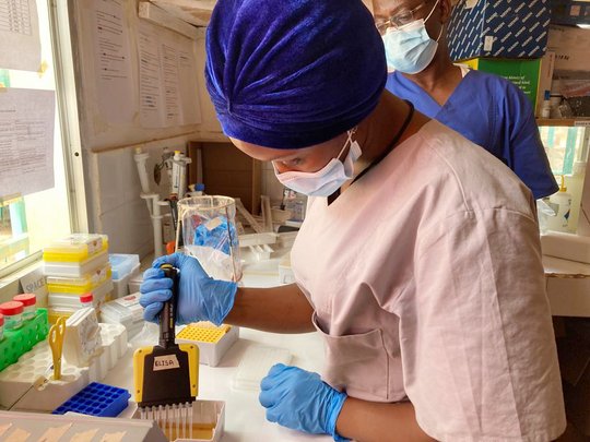 One laboratory staff member wearing gloves transfers reagents into an ELISA microplate using a multi-channel pipette. Documentation for the ELISA procedure is hung on the wall. A second laboratory staff is watching and checking that procedures are following as described in the documentation.